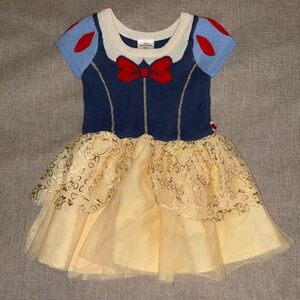 Disney Blue and Gold Princess Dress